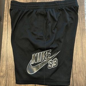 Nike SB Sunday Shorts